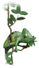 Animations - 024